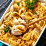 Cheesy And Creamy Chicken Shells Pasta