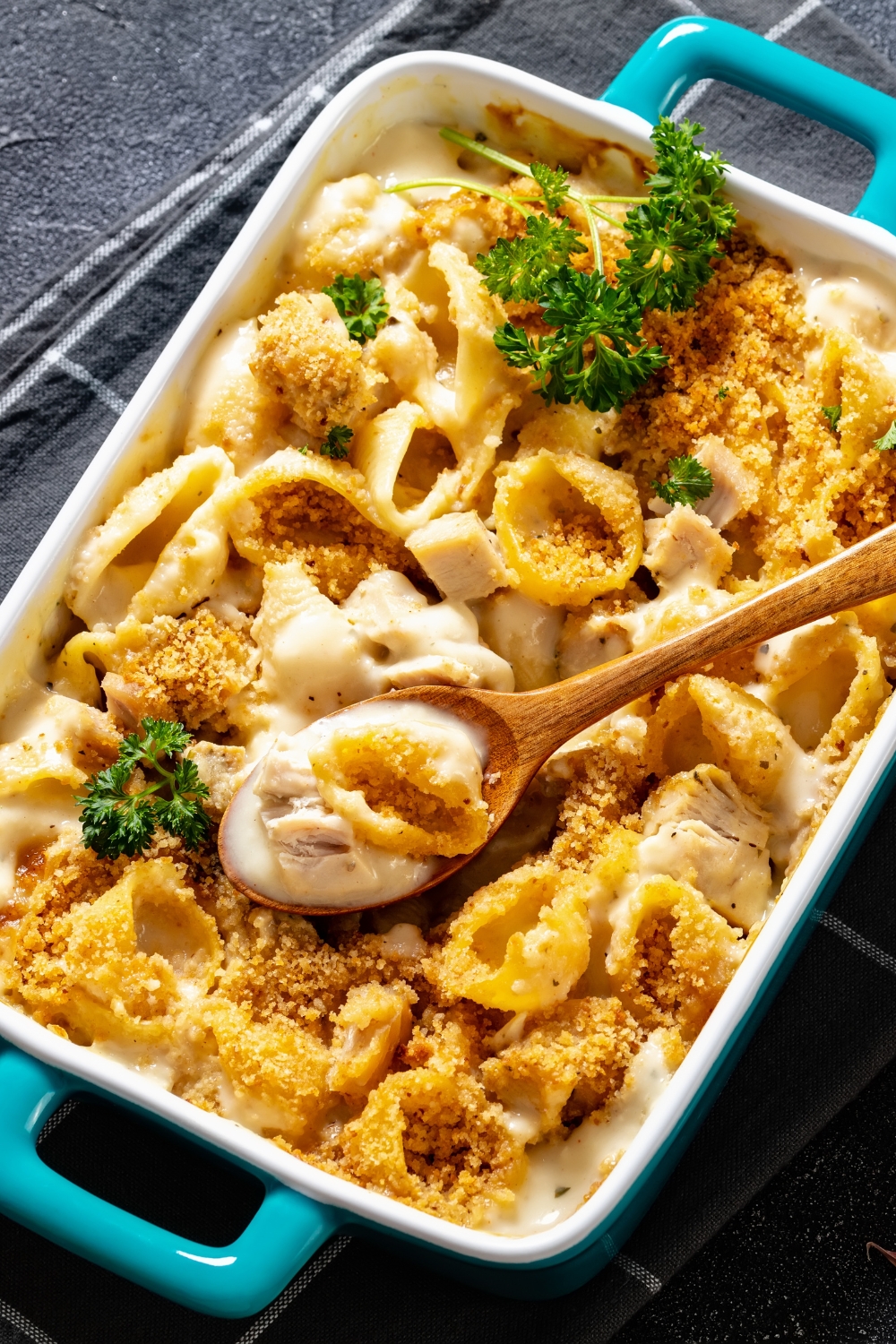 Cheesy And Creamy Chicken Shells Pasta 