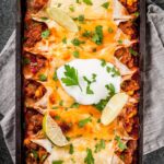 Spicy Chicken Enchiladas Recipe