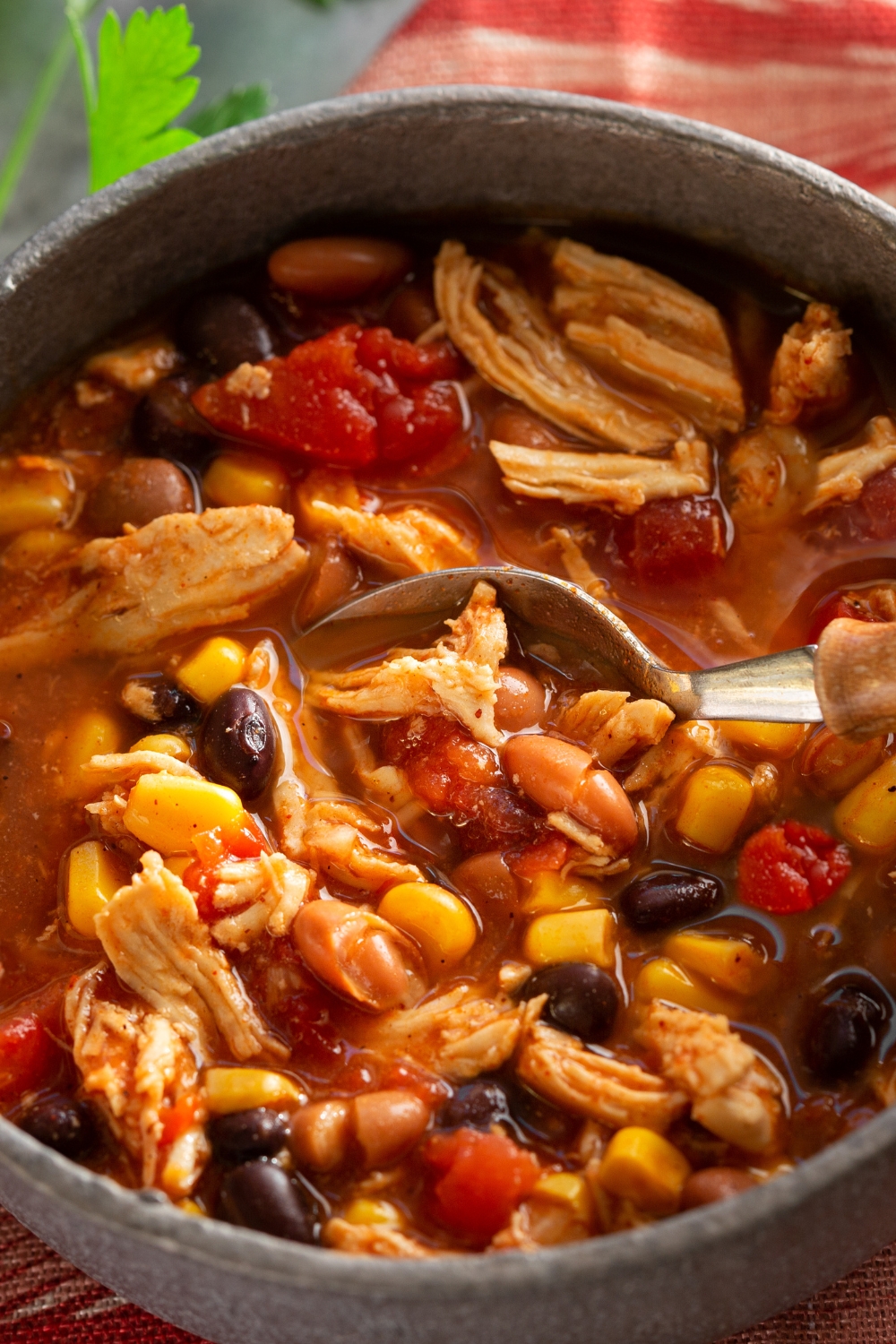 Southwestern Chicken Soup 