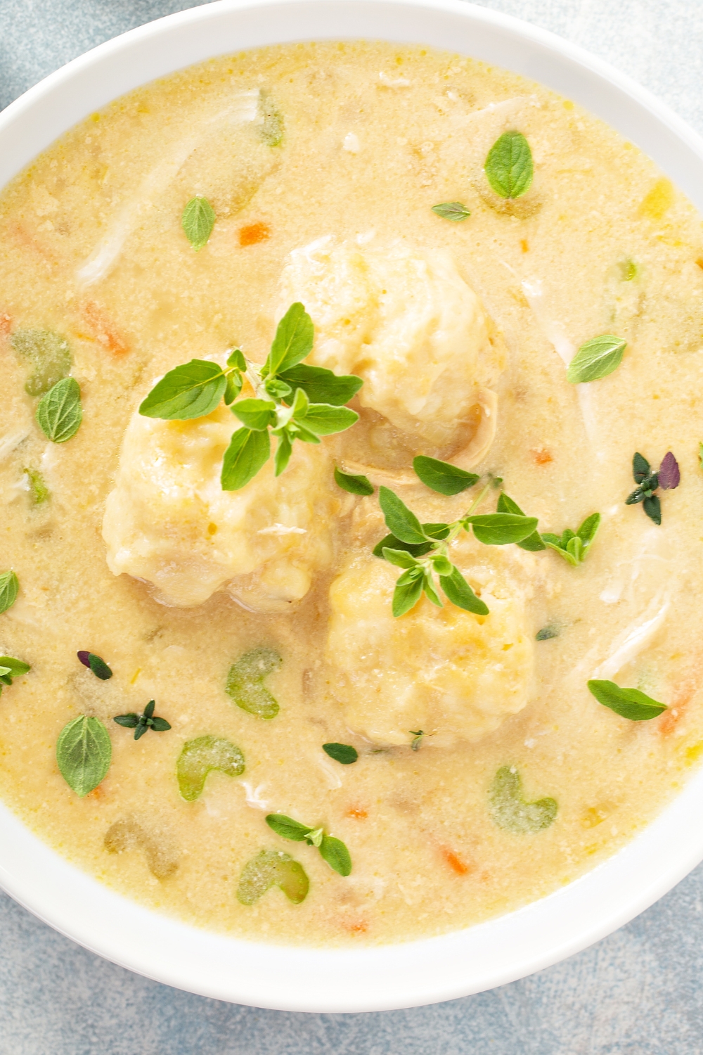 Ree Drummond Chicken and Dumplings