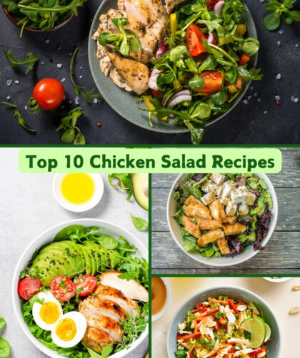 Top 10 Chicken Salad Recipes